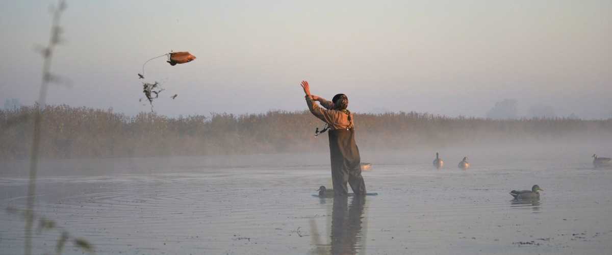 Image for 10 Strategies For Decoy-Shy Ducks