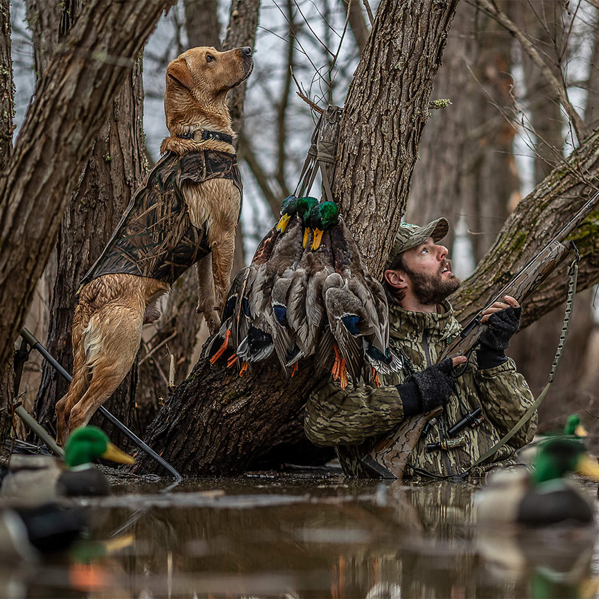 Duck hunter and dog in wetland
