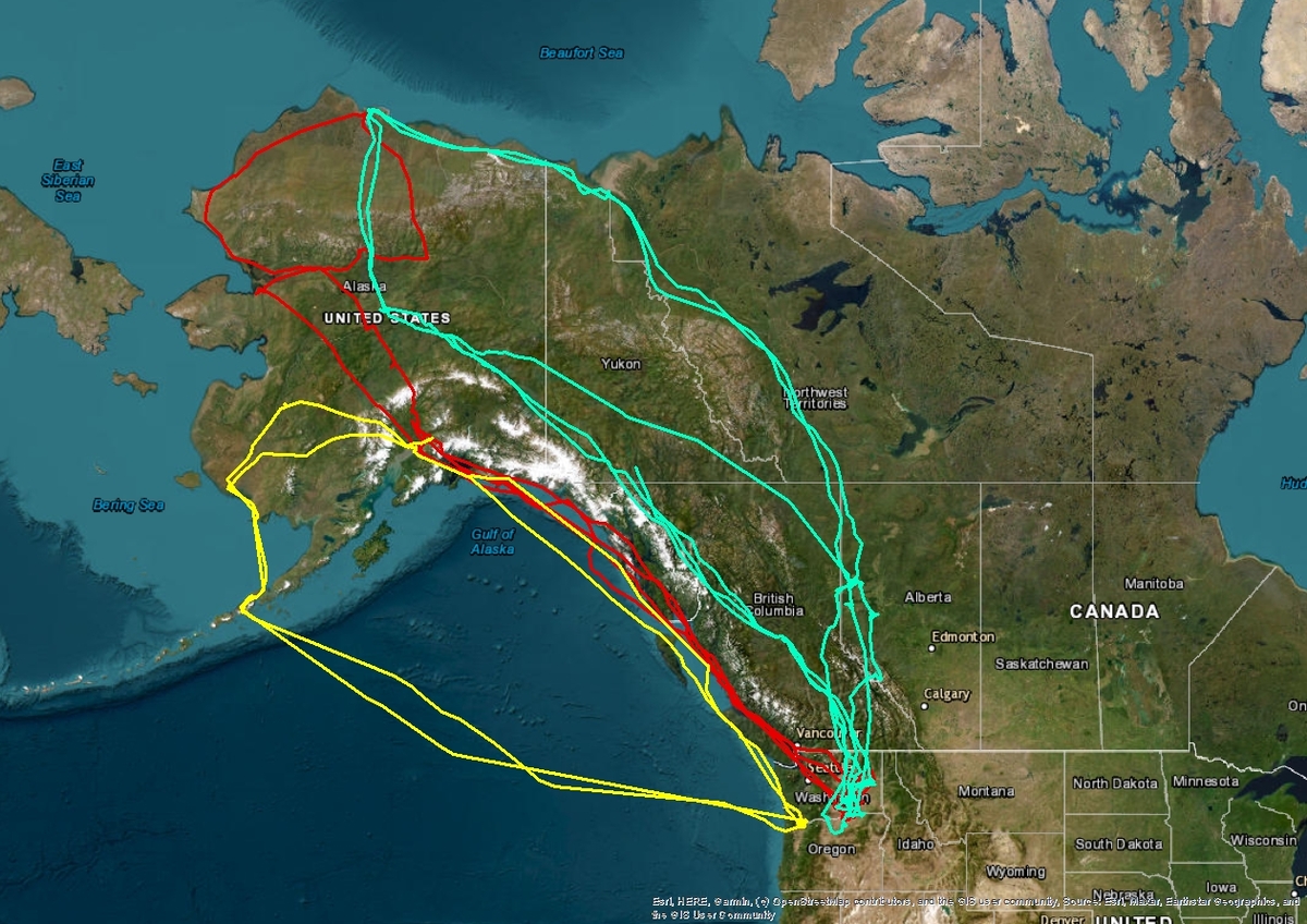 Image for Ducks Unlimited Deepens Conservation Investment in Alaska 
