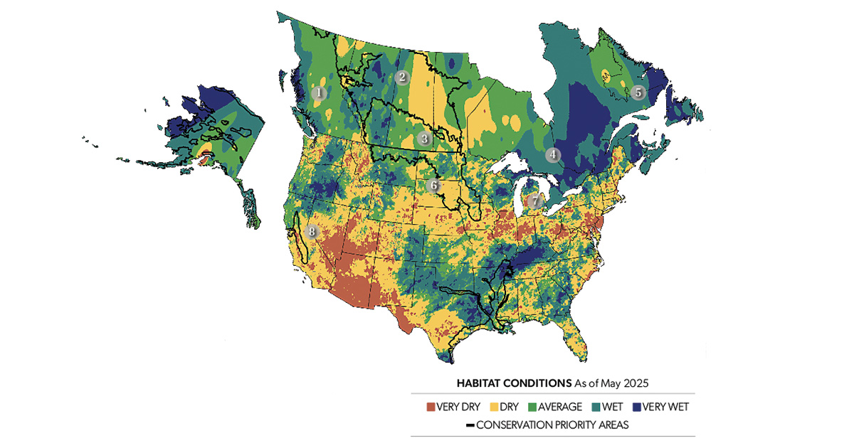 Field Reports: 2025 Duck Production Outlook