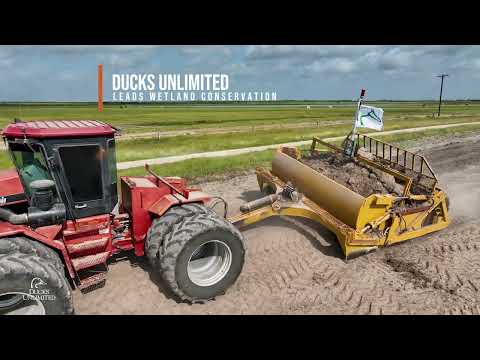 Importance of Wetlands | DU PSA