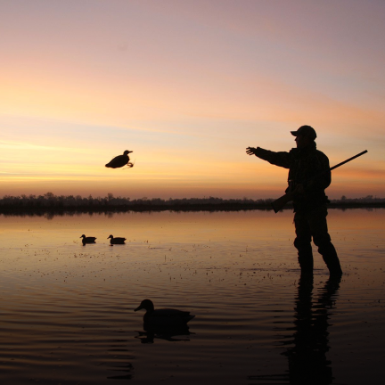 Photo of a hunter using a decoy in the water 