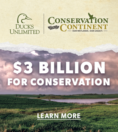 Learn About our Capital Campaign