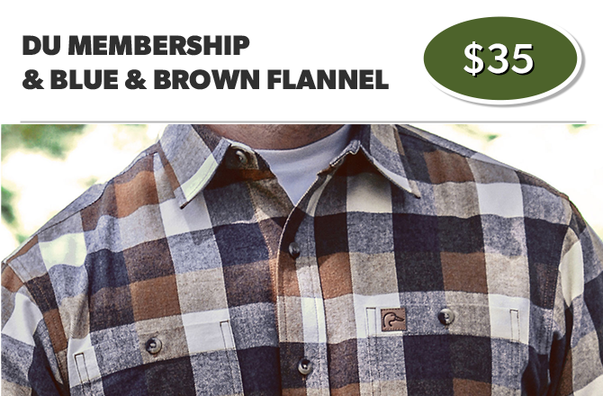 DU Blue & Brown Flannel